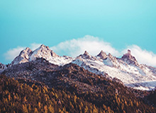 体育资讯-铿锵玫瑰冲击决赛席位